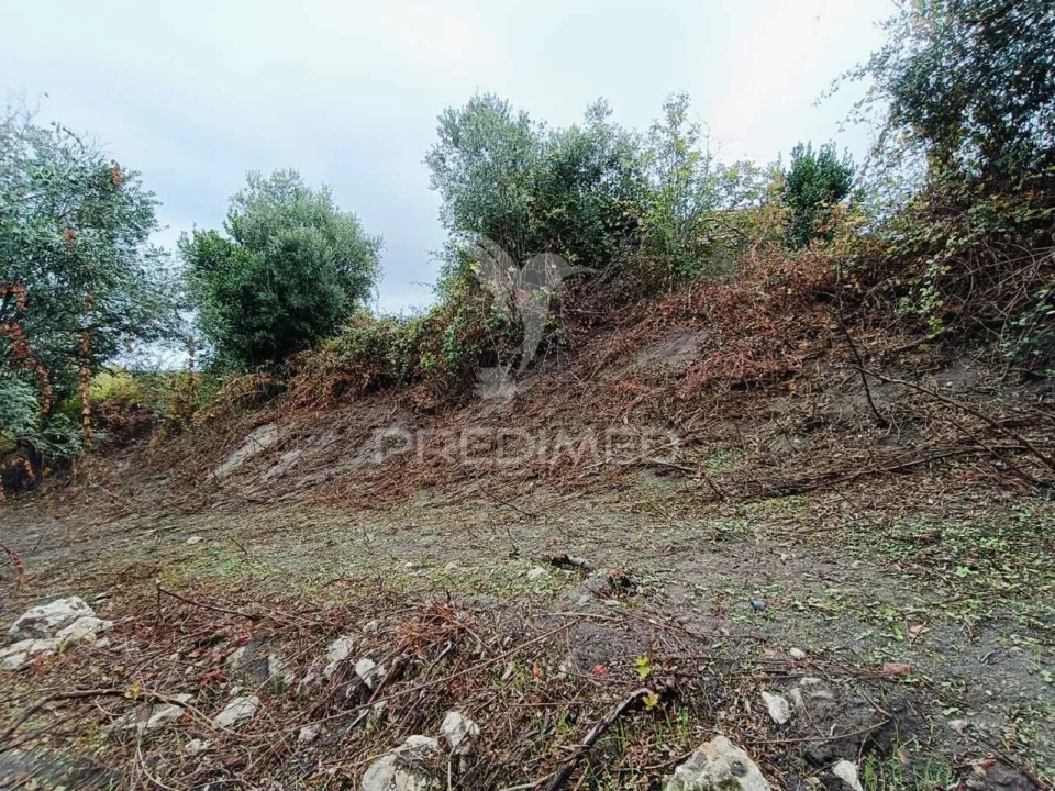 Moradia T1 para Venda em Seiça Foto 21