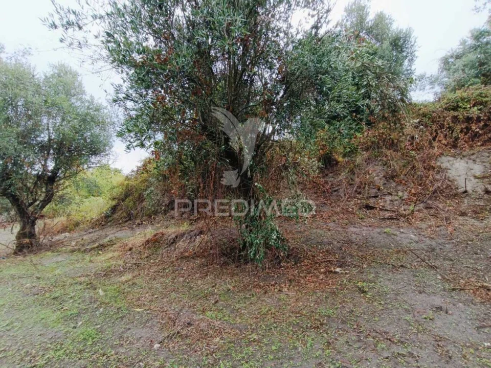 Moradia T1 para Venda em Seiça Foto 18