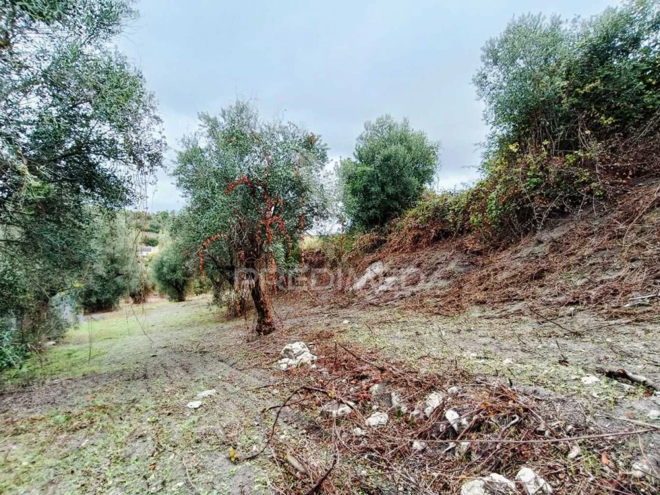 Moradia T1 para Venda em Seiça Foto 20