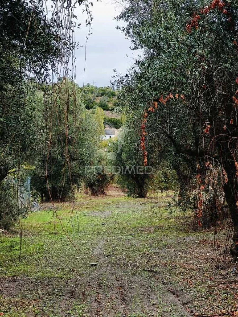 Moradia T1 para Venda em Seiça Foto 22