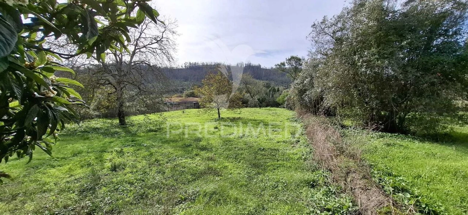 Terreno para Venda em Urqueira Foto 7