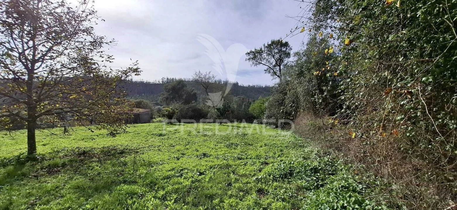 Terreno para Venda em Urqueira Foto 3
