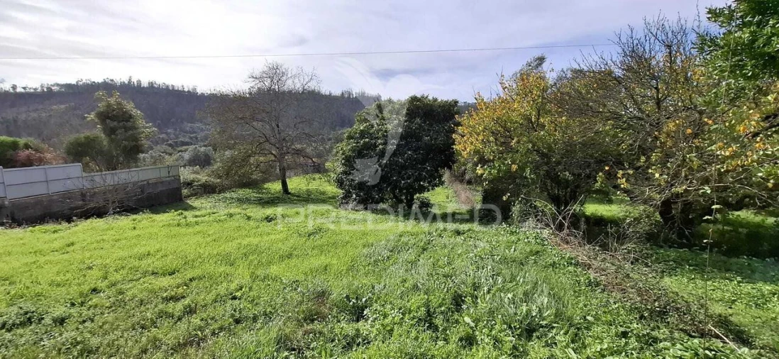 Terreno para Venda em Urqueira Foto 8