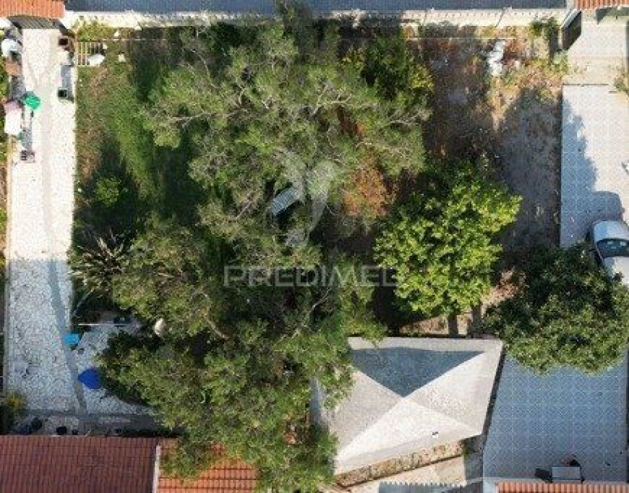Terreno para Venda em Fernao Ferro Foto 8
