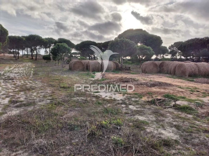 Terreno para Venda em Melides Foto 10