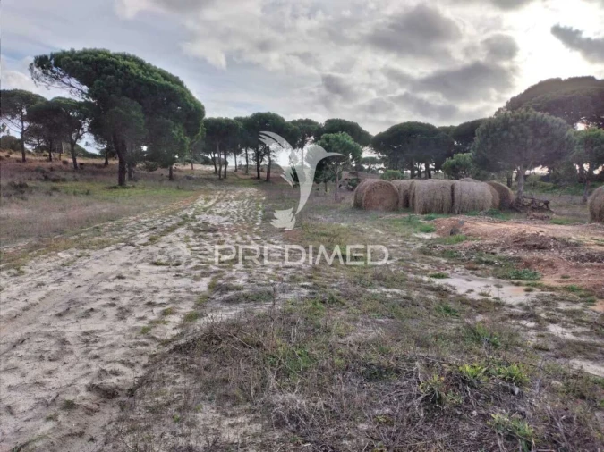 Terreno para Venda em Melides Foto 6