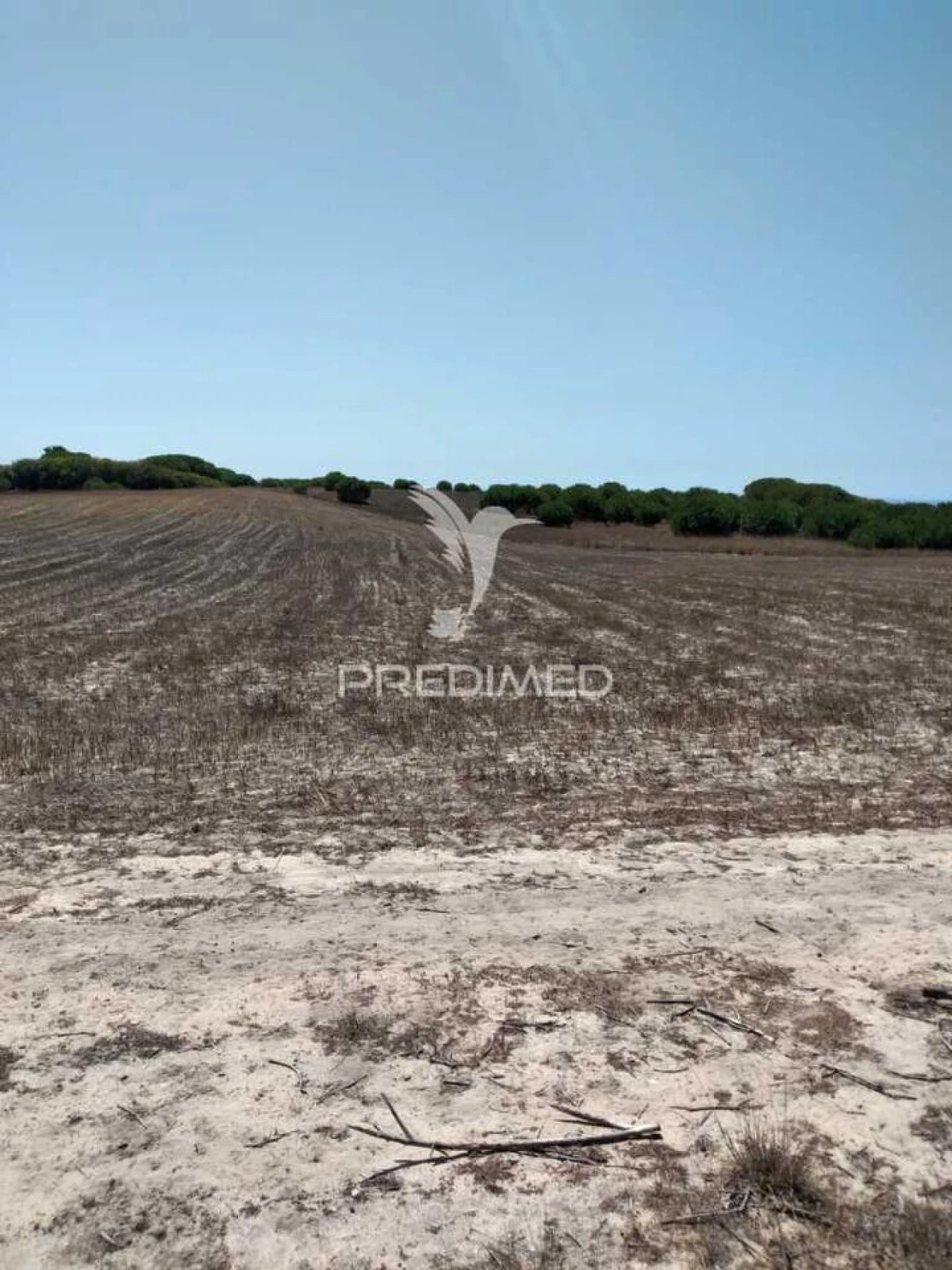 Terreno para Venda em Porto Covo Foto 7