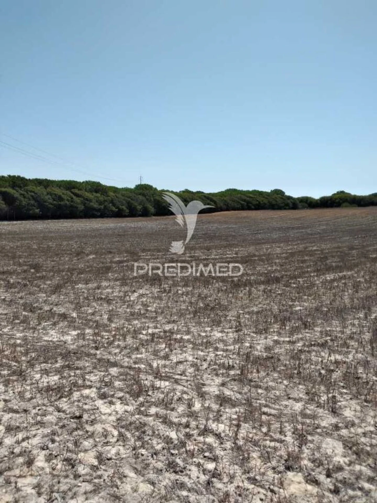 Terreno para Venda em Porto Covo Foto 8