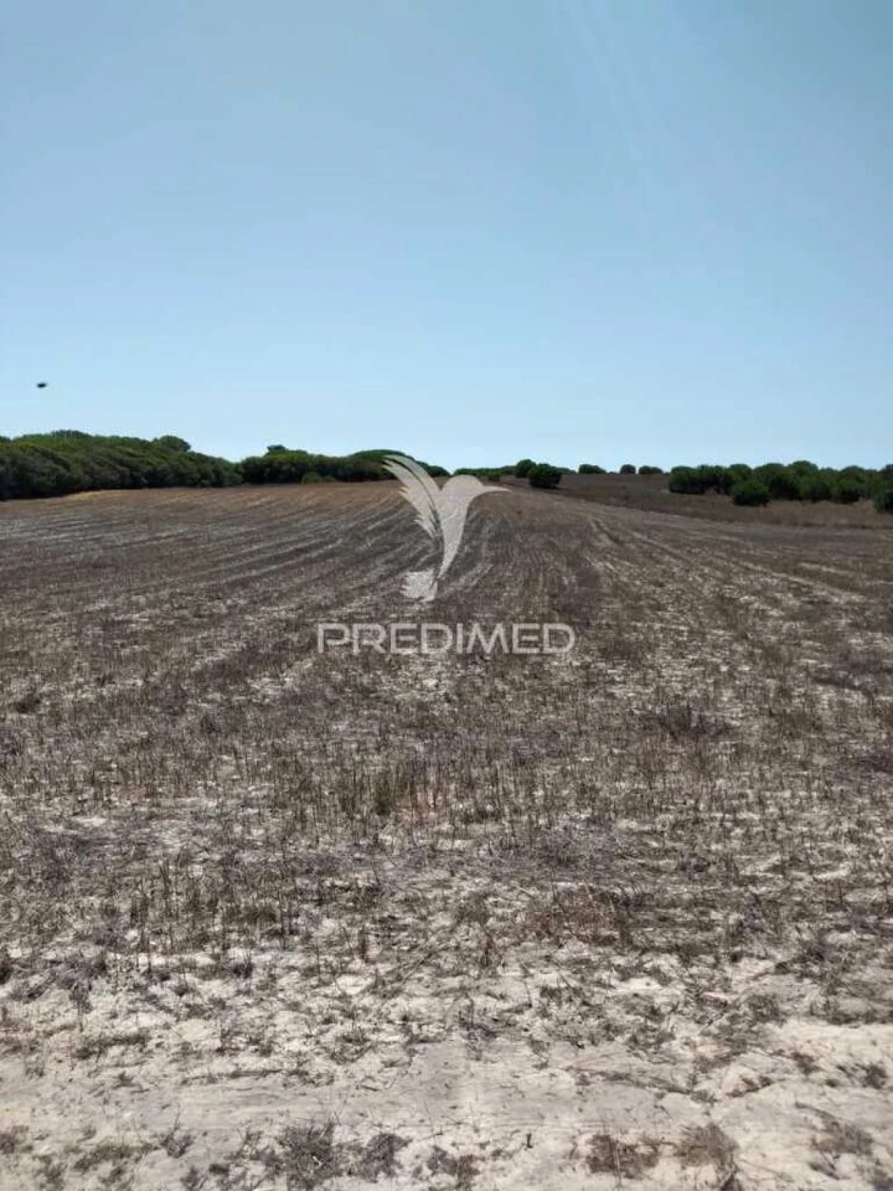 Terreno para Venda em Porto Covo Foto 9