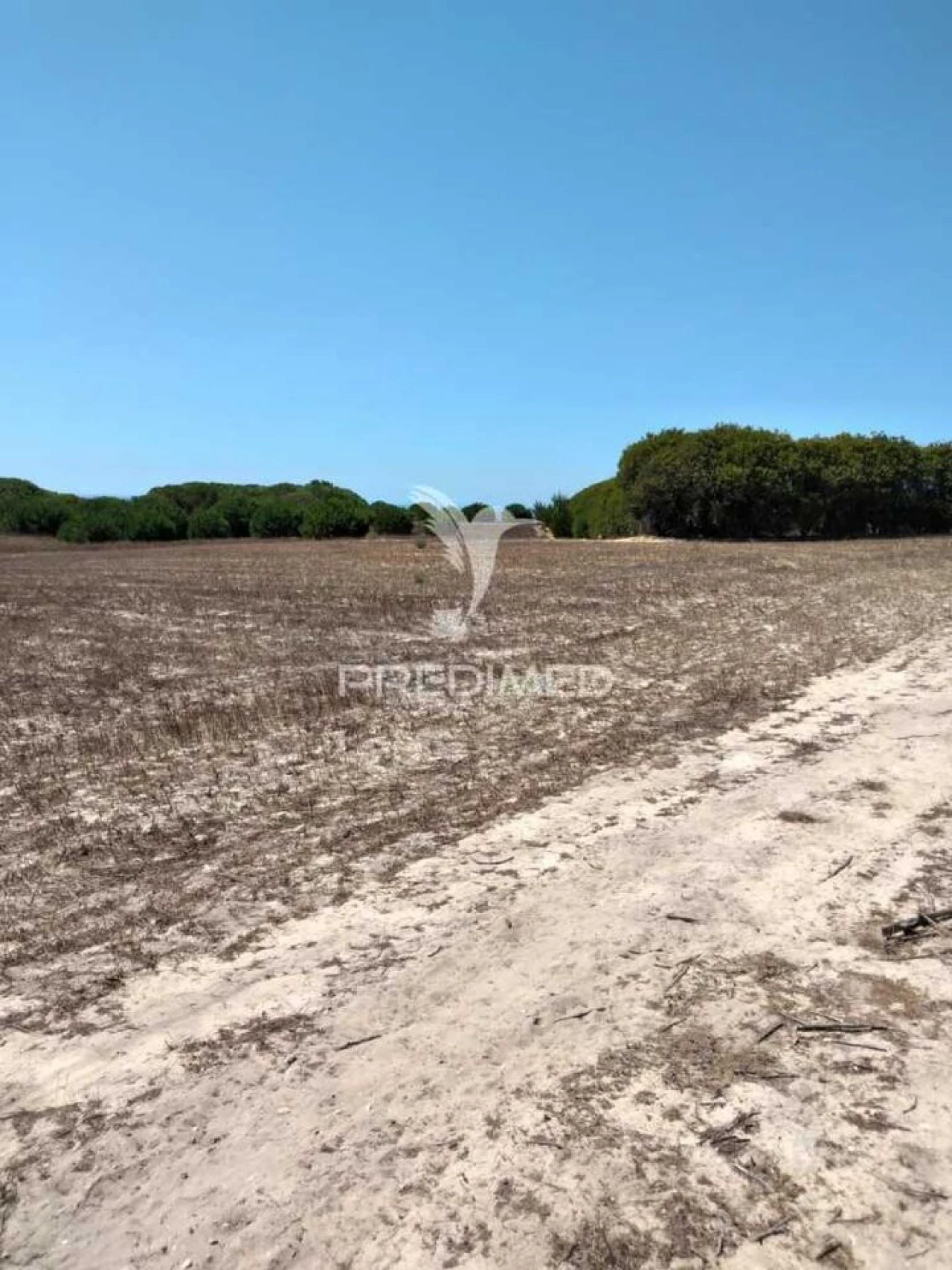 Terreno para Venda em Porto Covo Foto 4