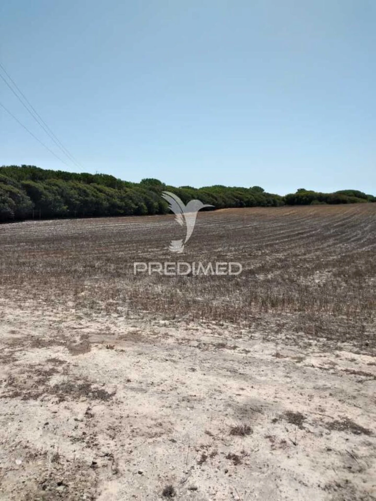 Terreno para Venda em Porto Covo Foto 3