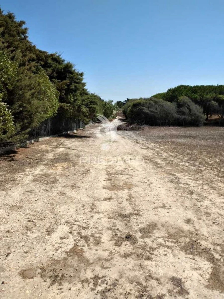 Terreno para Venda em Porto Covo Foto 2