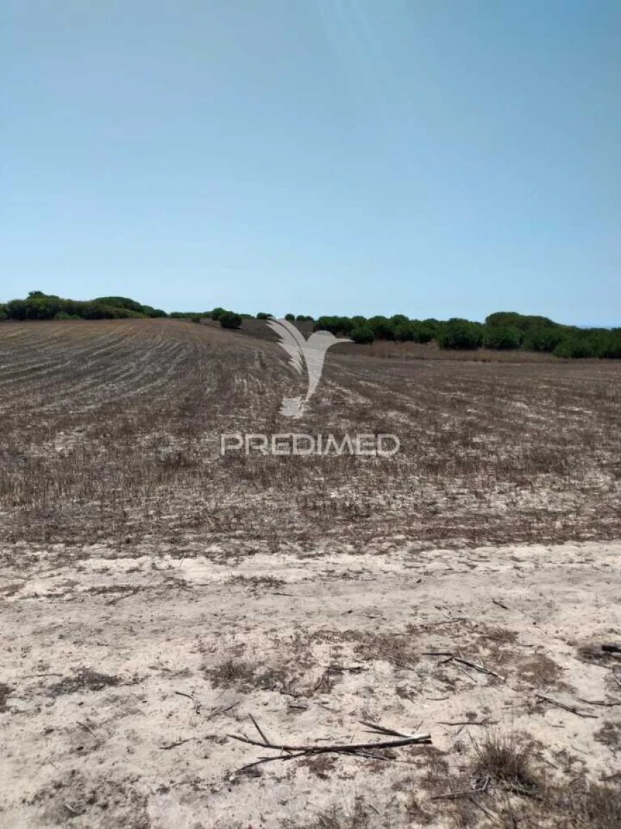 Terreno para Venda em Porto Covo Foto 7
