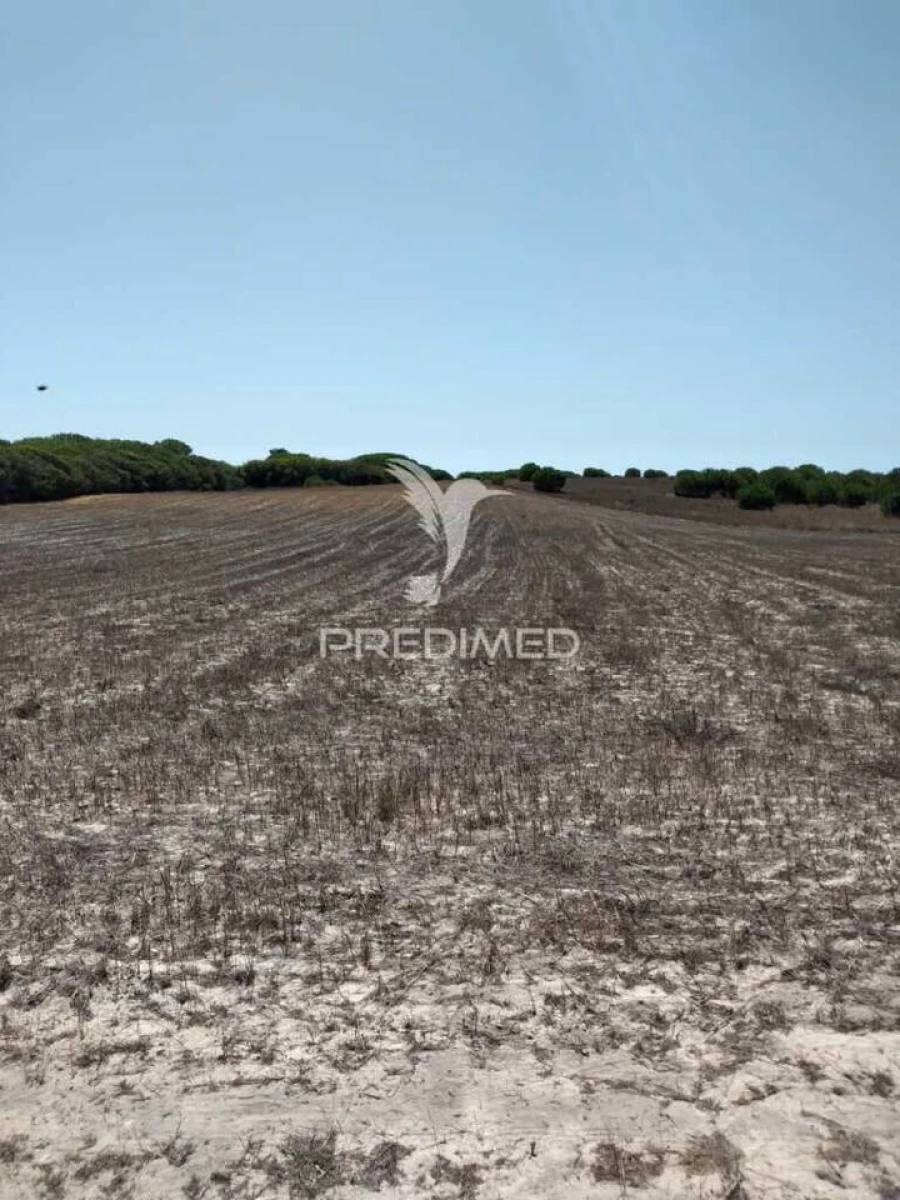 Terreno para Venda em Porto Covo Foto 9