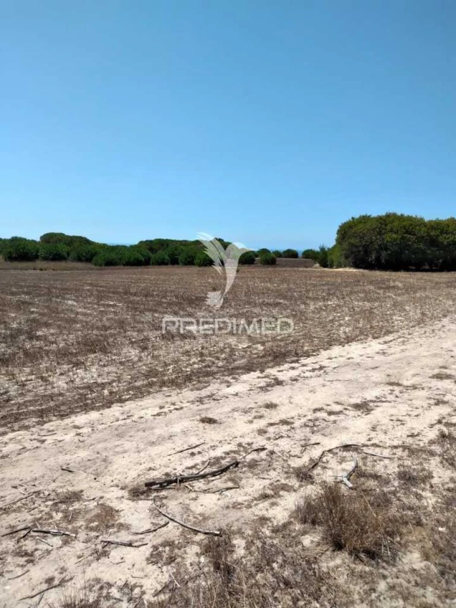 Terreno para Venda em Porto Covo Foto 6