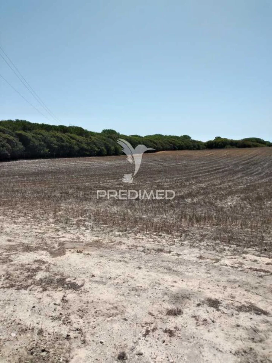 Terreno para Venda em Porto Covo Foto 3