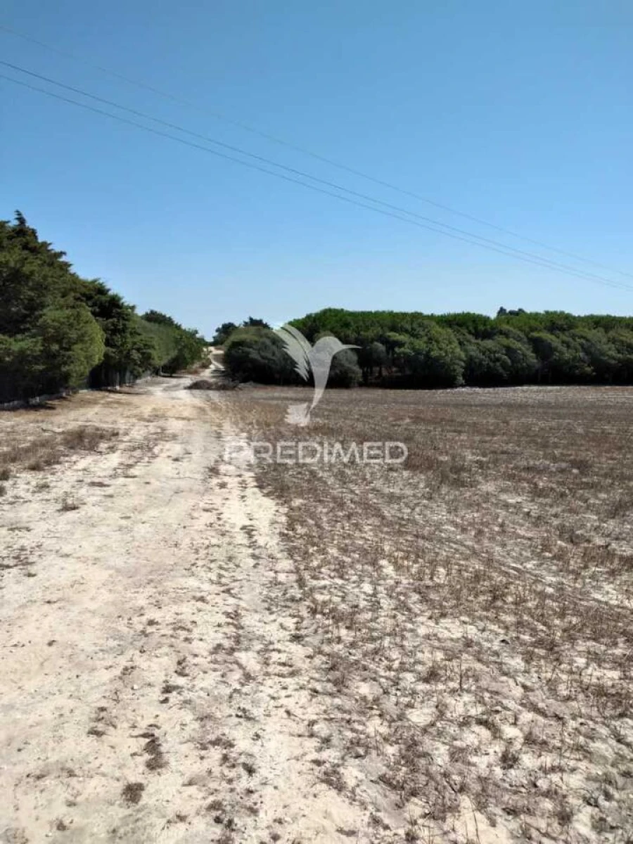 Terreno para Venda em Porto Covo