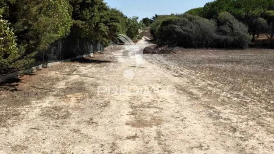 Terreno para Venda em Porto Covo