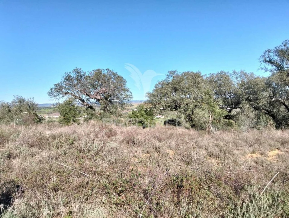 Terreno para Venda em Capelins (Santo Antonio) Foto 4