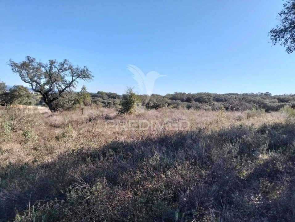 Terreno para Venda em Capelins (Santo Antonio) Foto 3