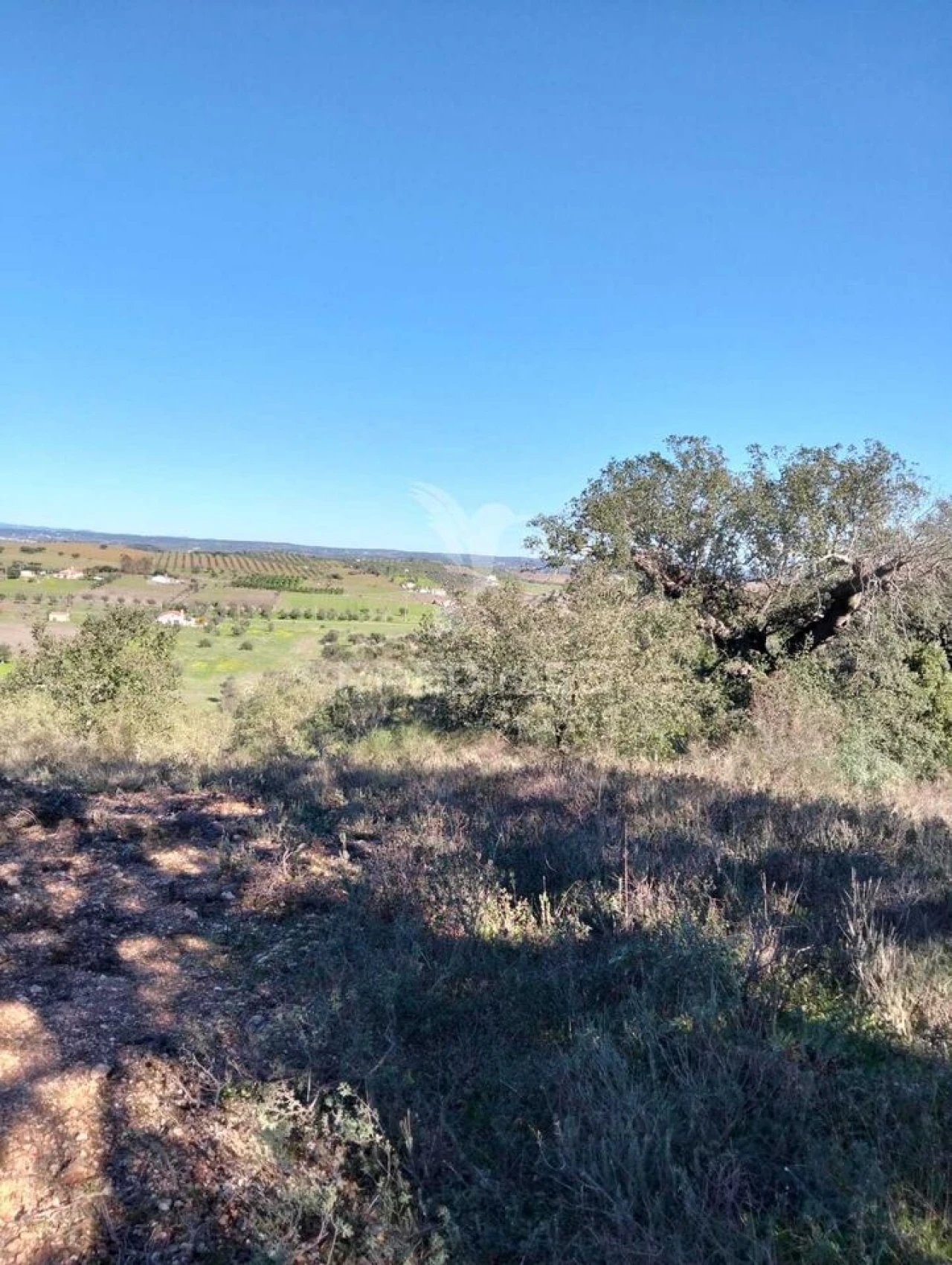 Terreno para Venda em Capelins (Santo Antonio) Foto 13