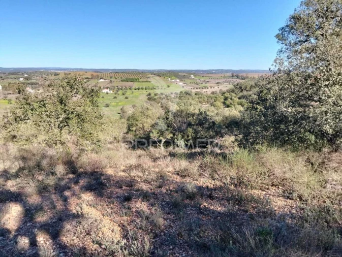 Terreno para Venda em Capelins (Santo Antonio)