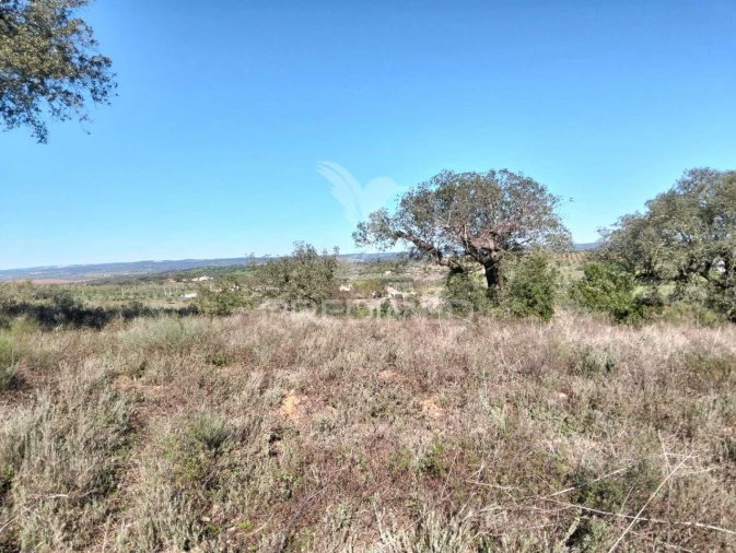 Terreno para Venda em Capelins (Santo Antonio) Foto 11