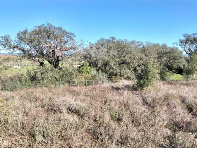 Terreno para Venda em Capelins (Santo Antonio) Foto 10