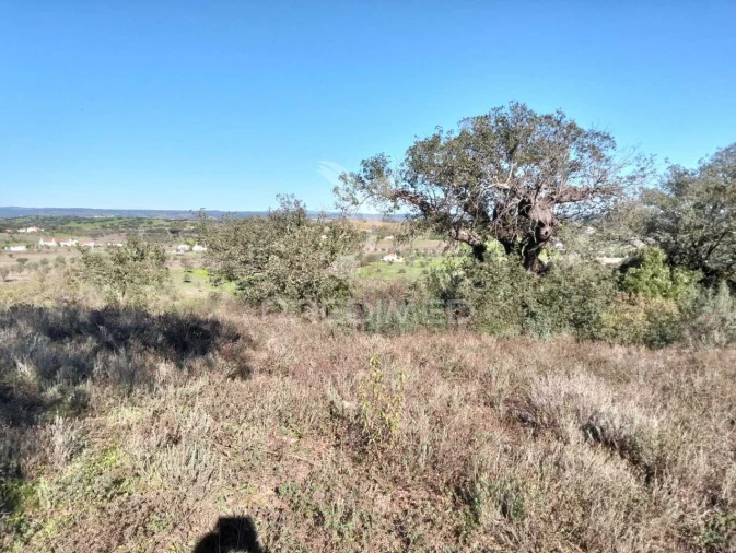 Terreno para Venda em Capelins (Santo Antonio) Foto 2