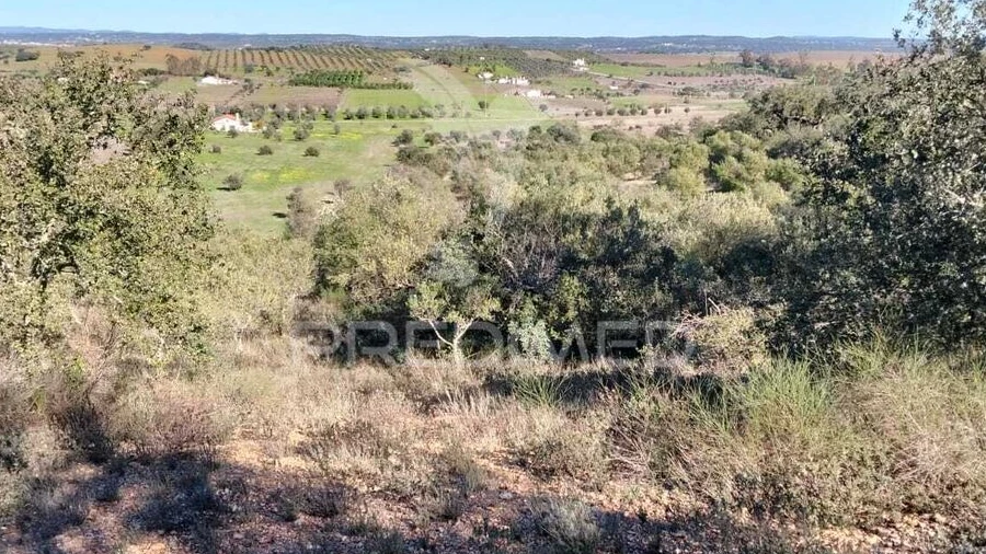Terreno para Venda em Capelins (Santo Antonio)