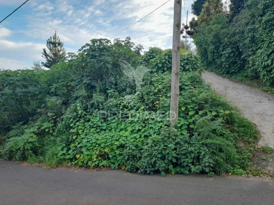 Terreno para Venda em Gaula Foto 4