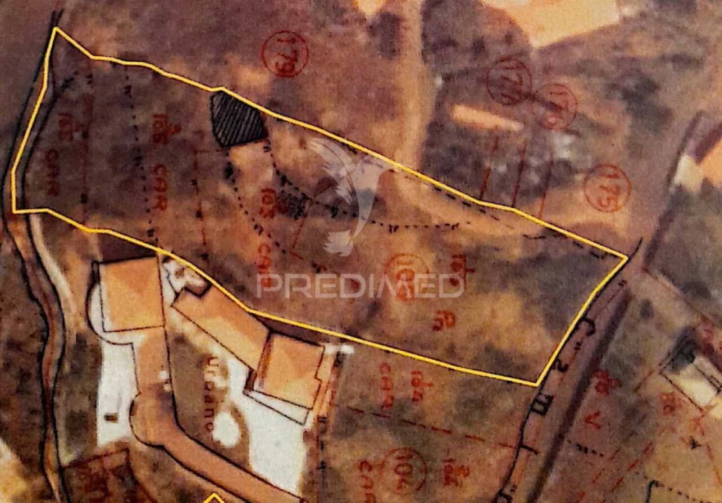 Terreno para Venda em Gaula Foto 6