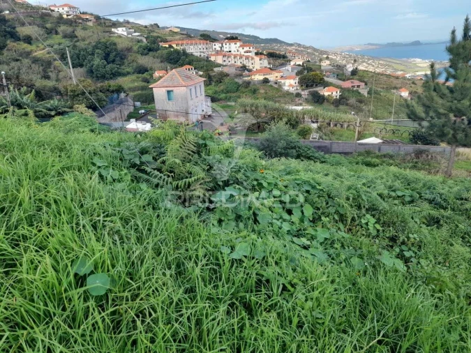 Terreno para Venda em Gaula Foto 2