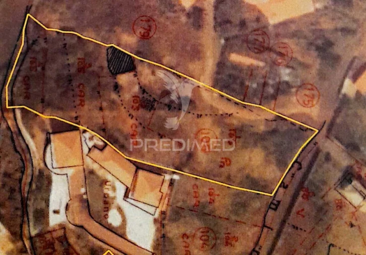 Terreno para Venda em Gaula Foto 6