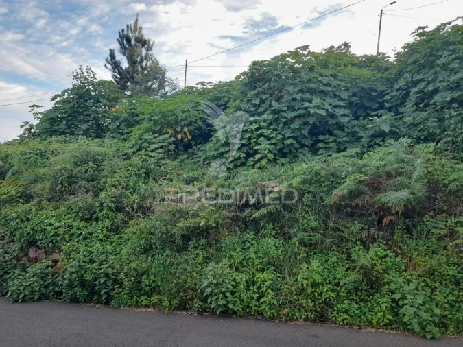 Terreno para Venda em Gaula Foto 5