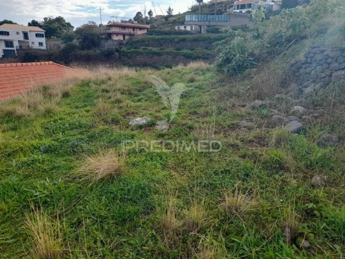 Terreno para Venda em Gaula Foto 3