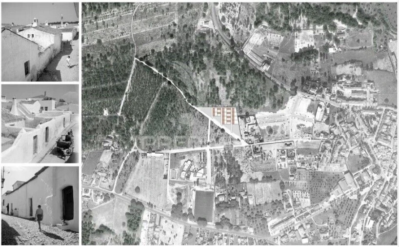 Terreno para Venda em Melides Foto 16