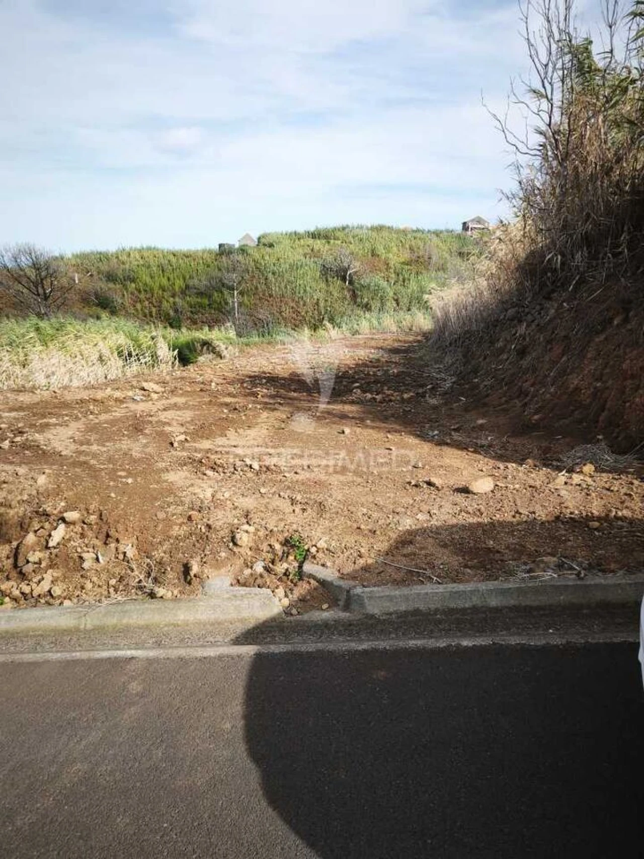 Terreno para Venda em Achadas da Cruz Foto 5