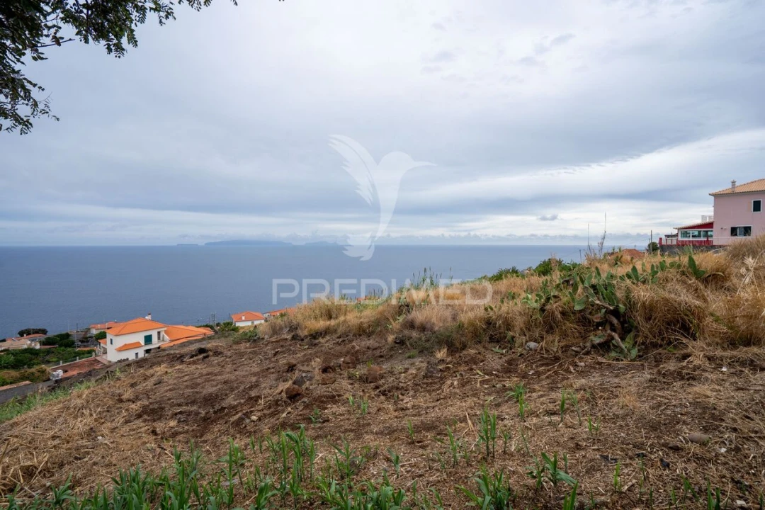 Terreno para Venda em Gaula Foto 4