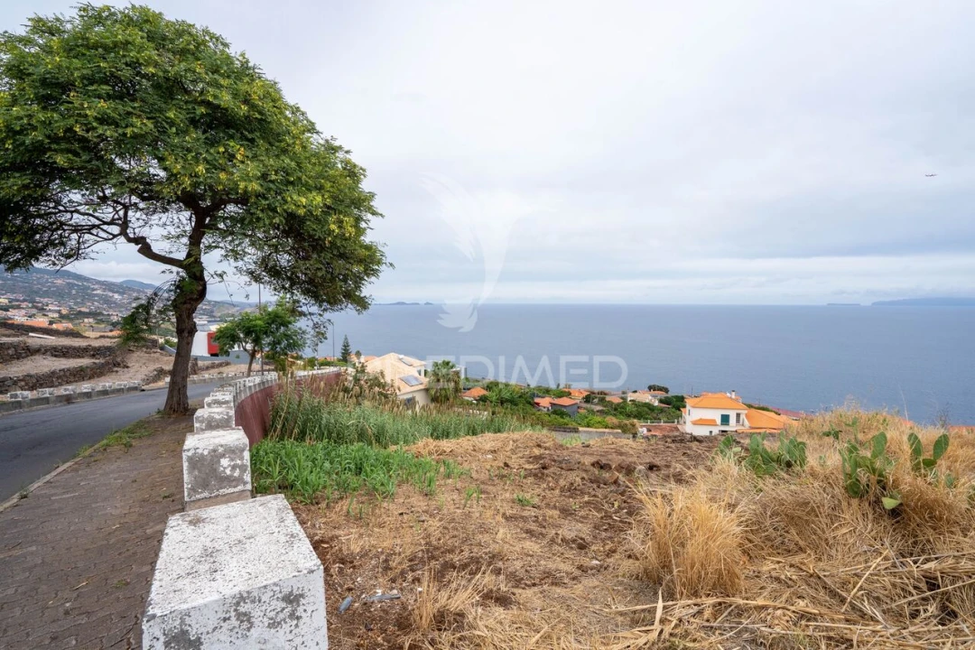 Terreno para Venda em Gaula Foto 6