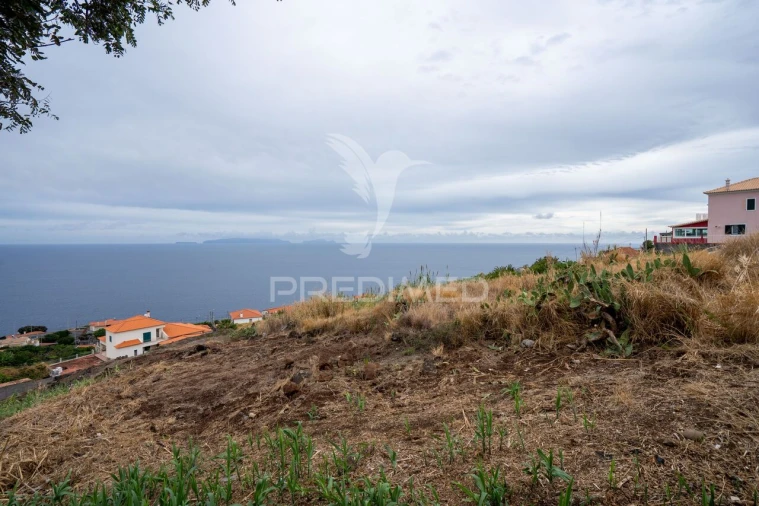 Terreno para Venda em Gaula Foto 4