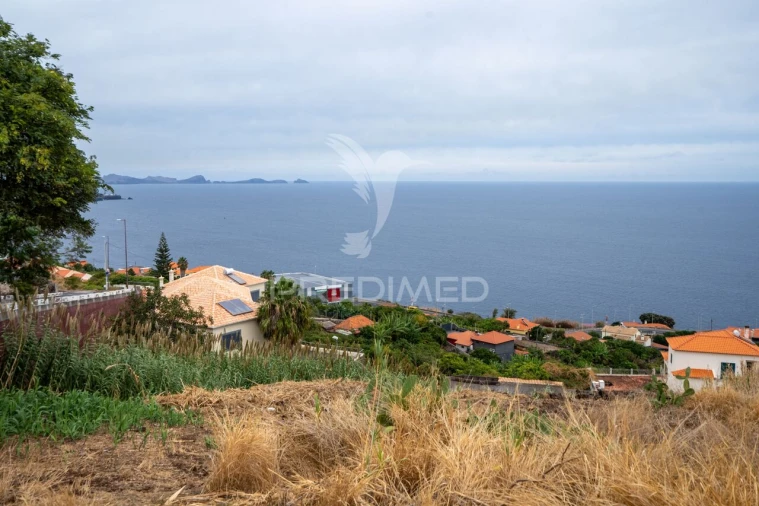 Terreno para Venda em Gaula Foto 3