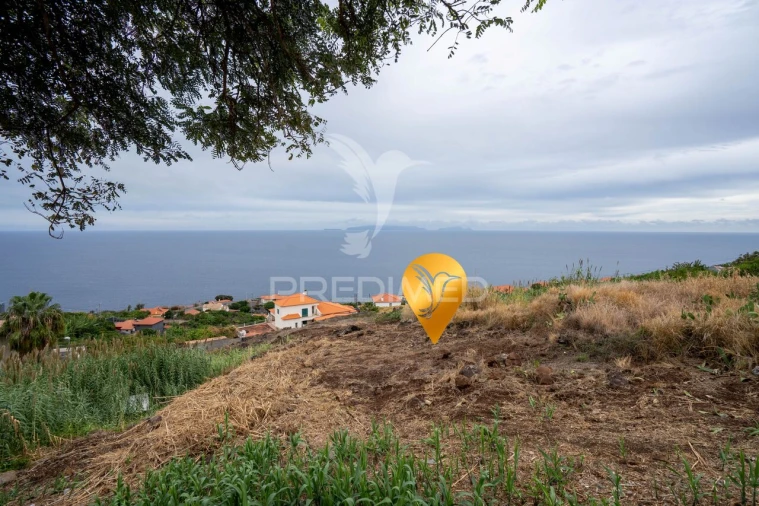 Terreno para Venda em Gaula Foto 8