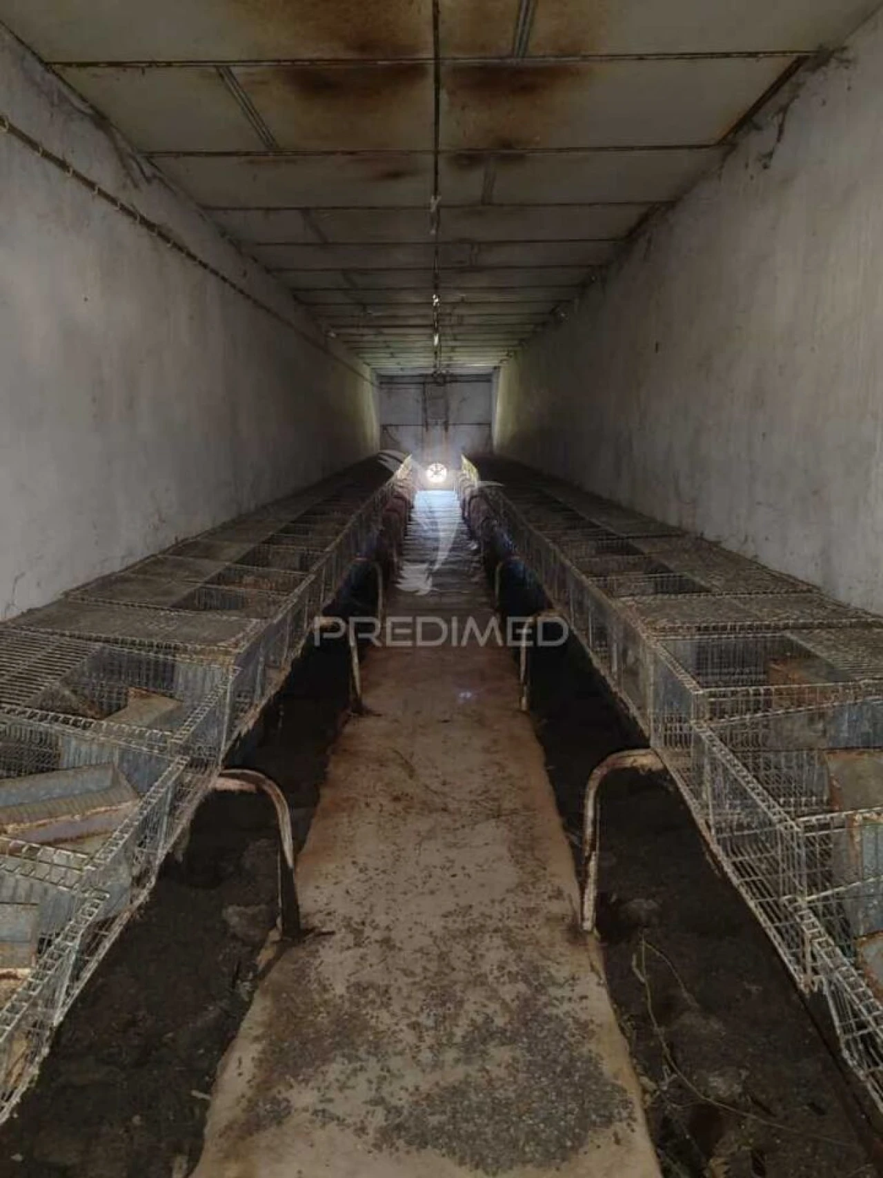 Armazém para Venda em Aljubarrota Foto 7