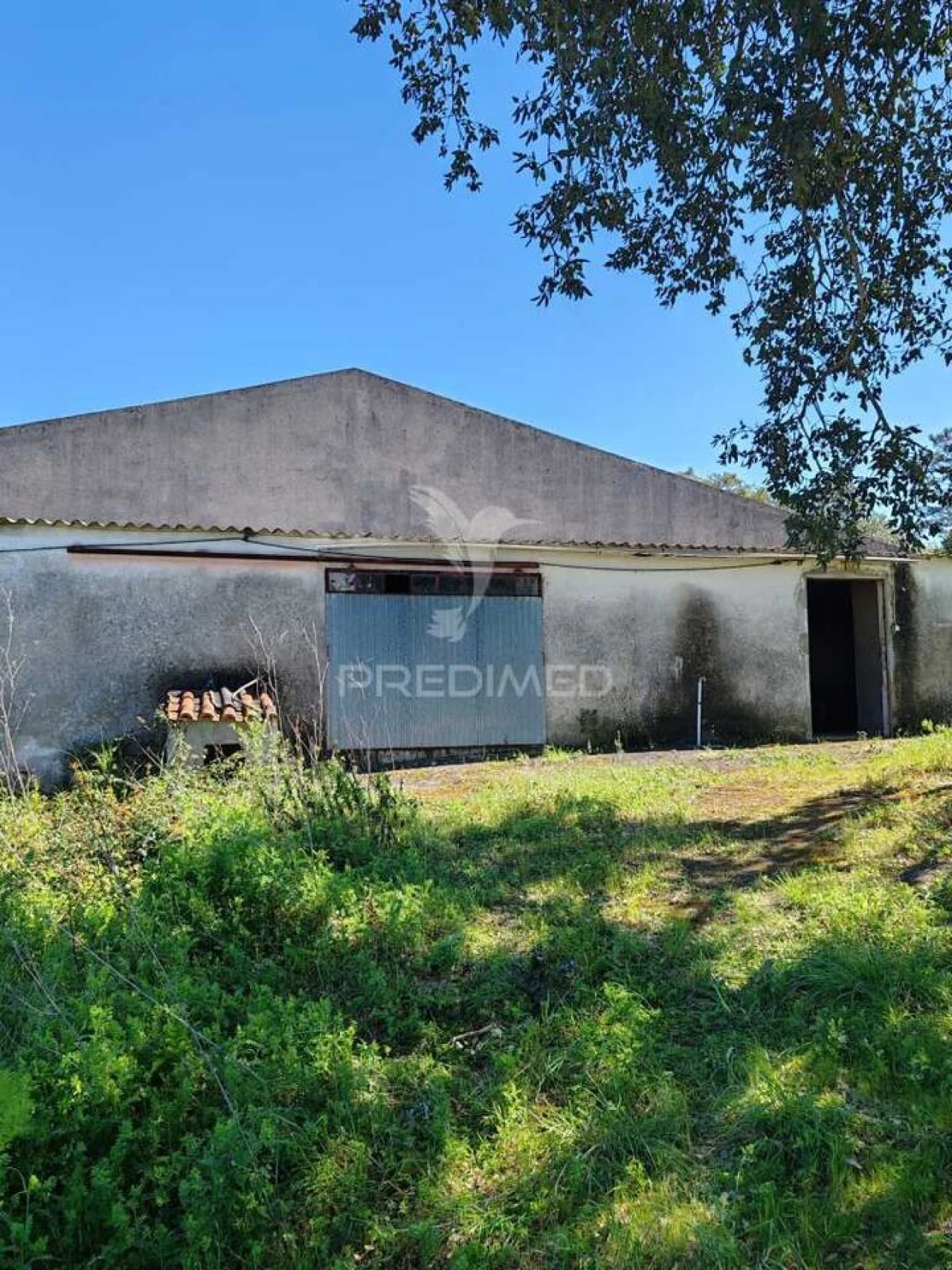 Armazém para Venda em Aljubarrota Foto 21