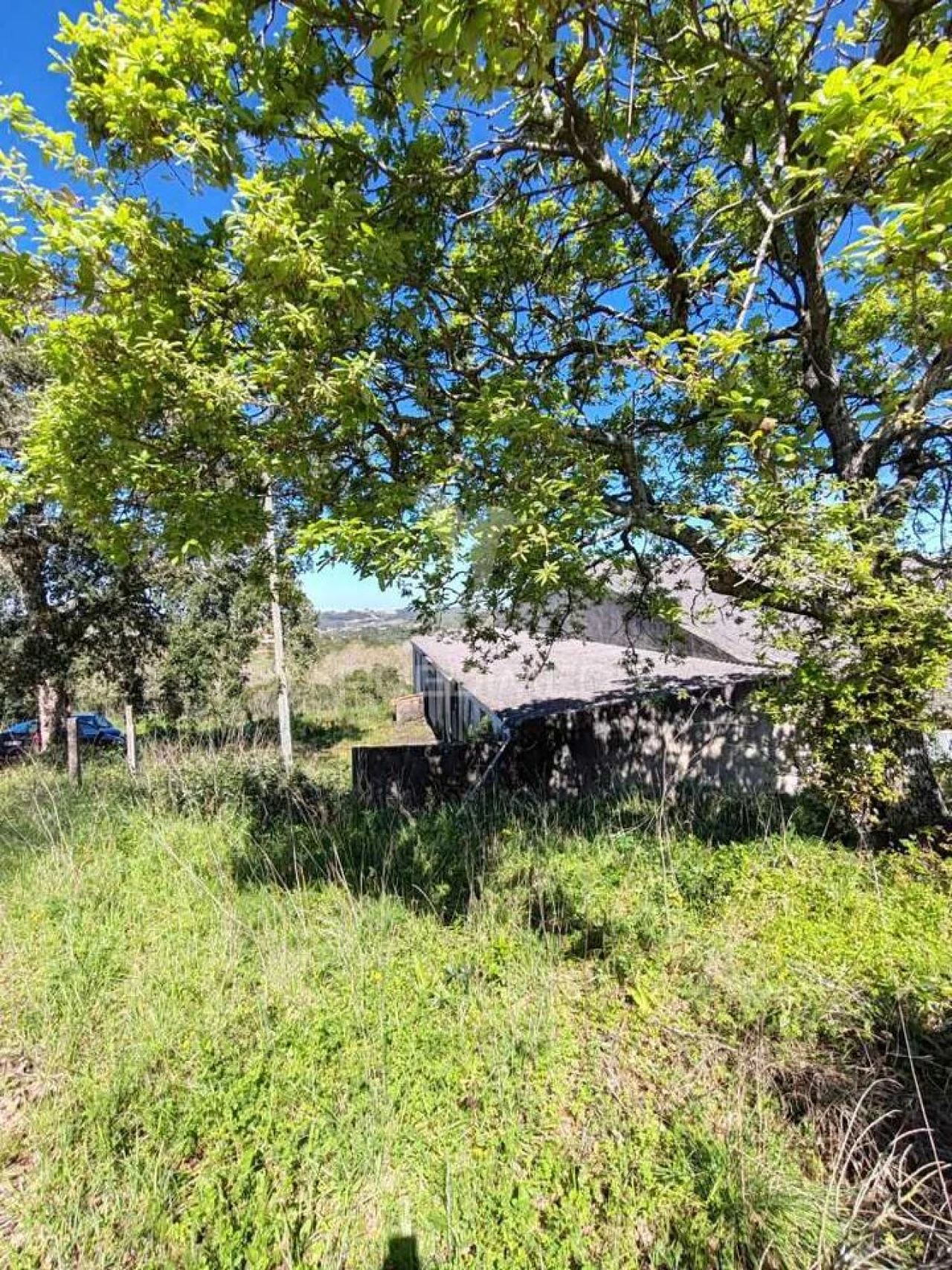 Armazém para Venda em Aljubarrota Foto 3