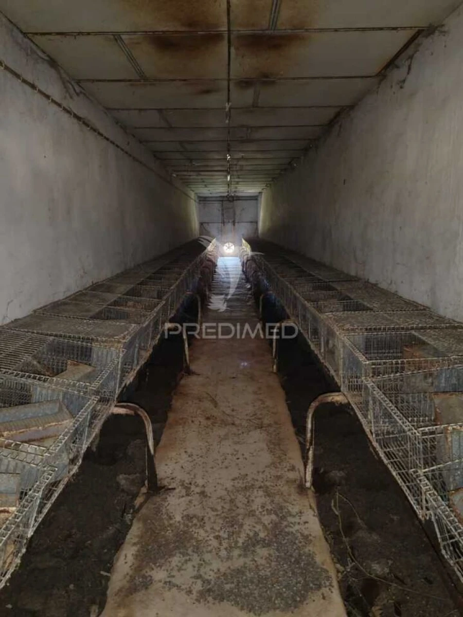 Armazém para Venda em Aljubarrota Foto 7