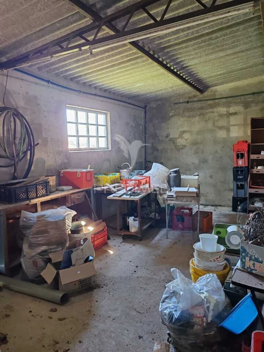 Armazém para Venda em Aljubarrota Foto 15