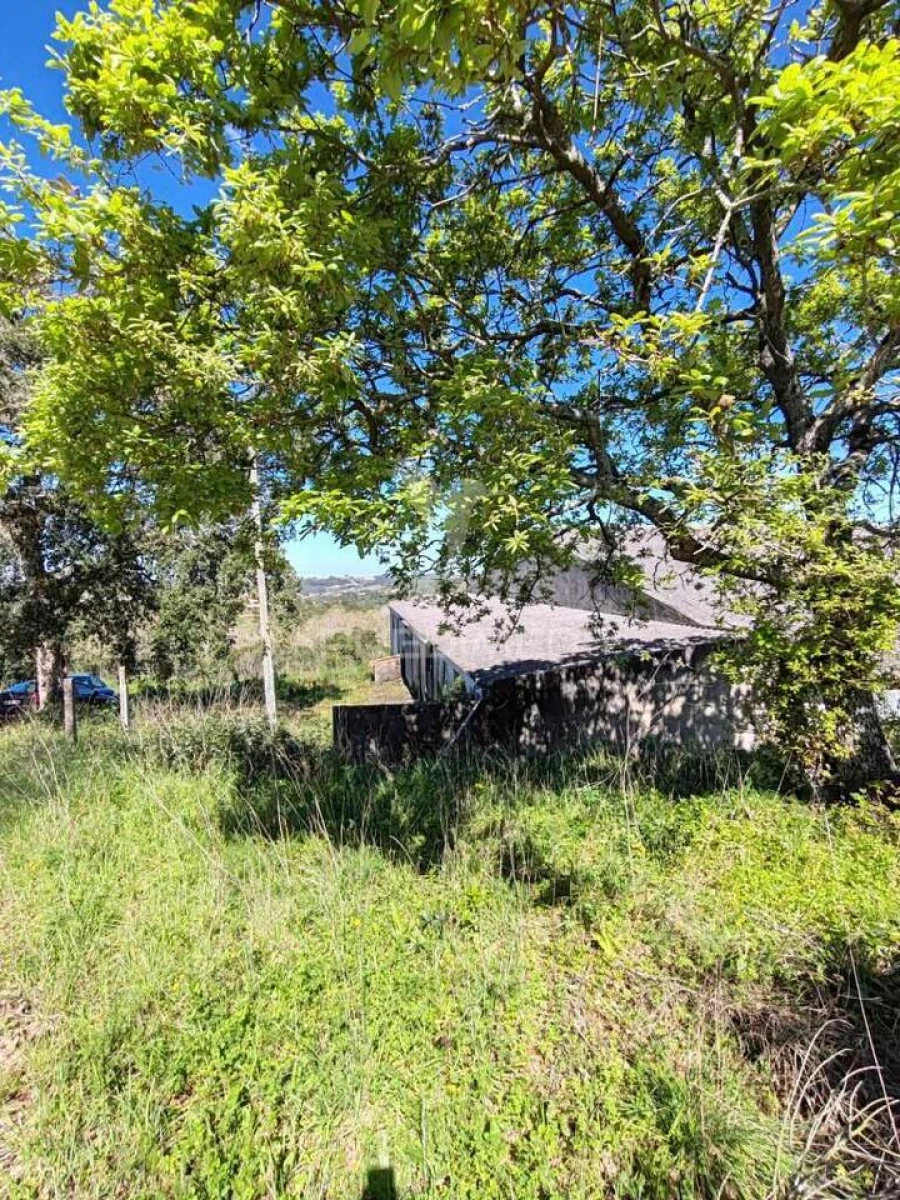 Armazém para Venda em Aljubarrota Foto 3