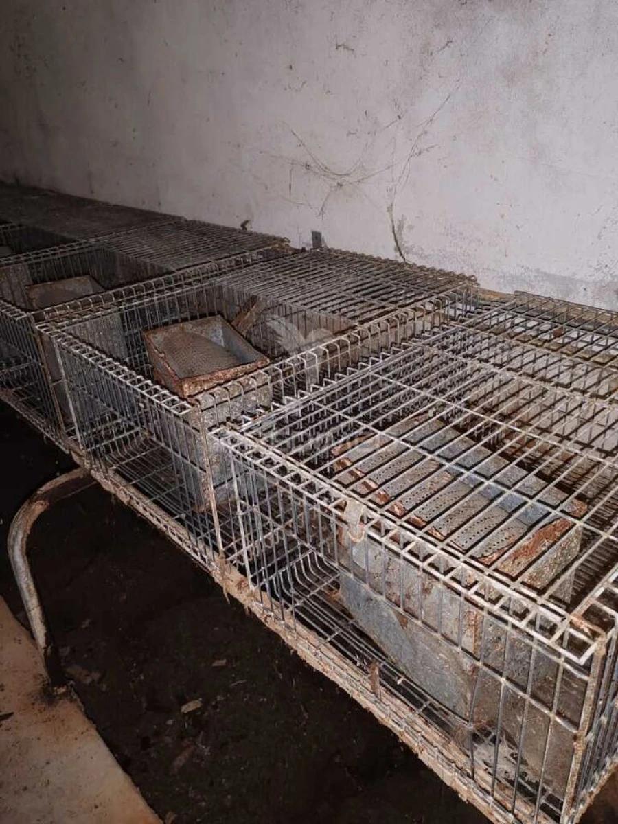 Armazém para Venda em Aljubarrota Foto 6